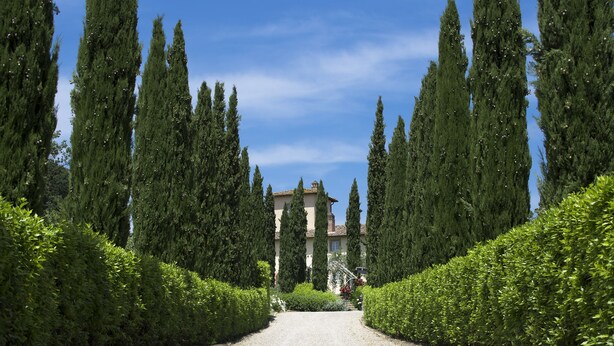 A gravel driveway flanked by tall, narrow trees leading to a building with a tiled roof. - Luxury Villa located between Florence and Siena. A/C, swimming pool and SPA! (Tavarnelle val di Pesa)