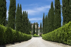A gravel driveway flanked by tall, narrow trees leading to a building with a tiled roof. - Luxury Villa located between Florence and Siena. A/C, swimming pool and SPA! (Tavarnelle val di Pesa)