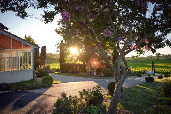 Área da propriedade