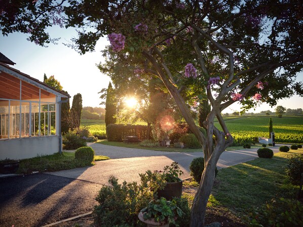 Property grounds - Renovated Stone House with Garden in the Heart of the Saint-Émilion Vineyards (ST EMILION)