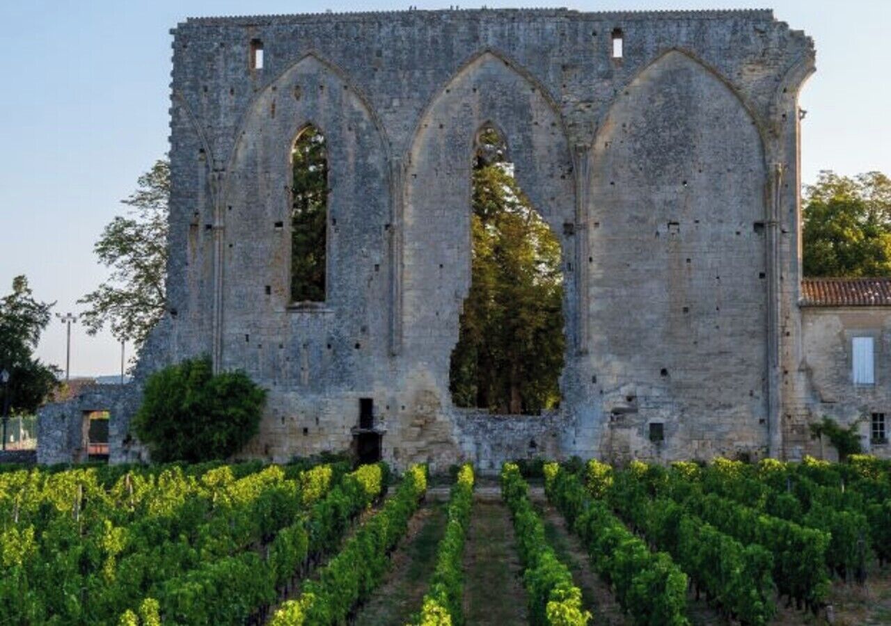 A historic stone building with arched windows and a vineyard in the foreground.