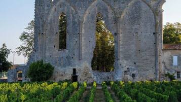 A historic stone building with arched windows and a vineyard in the foreground.