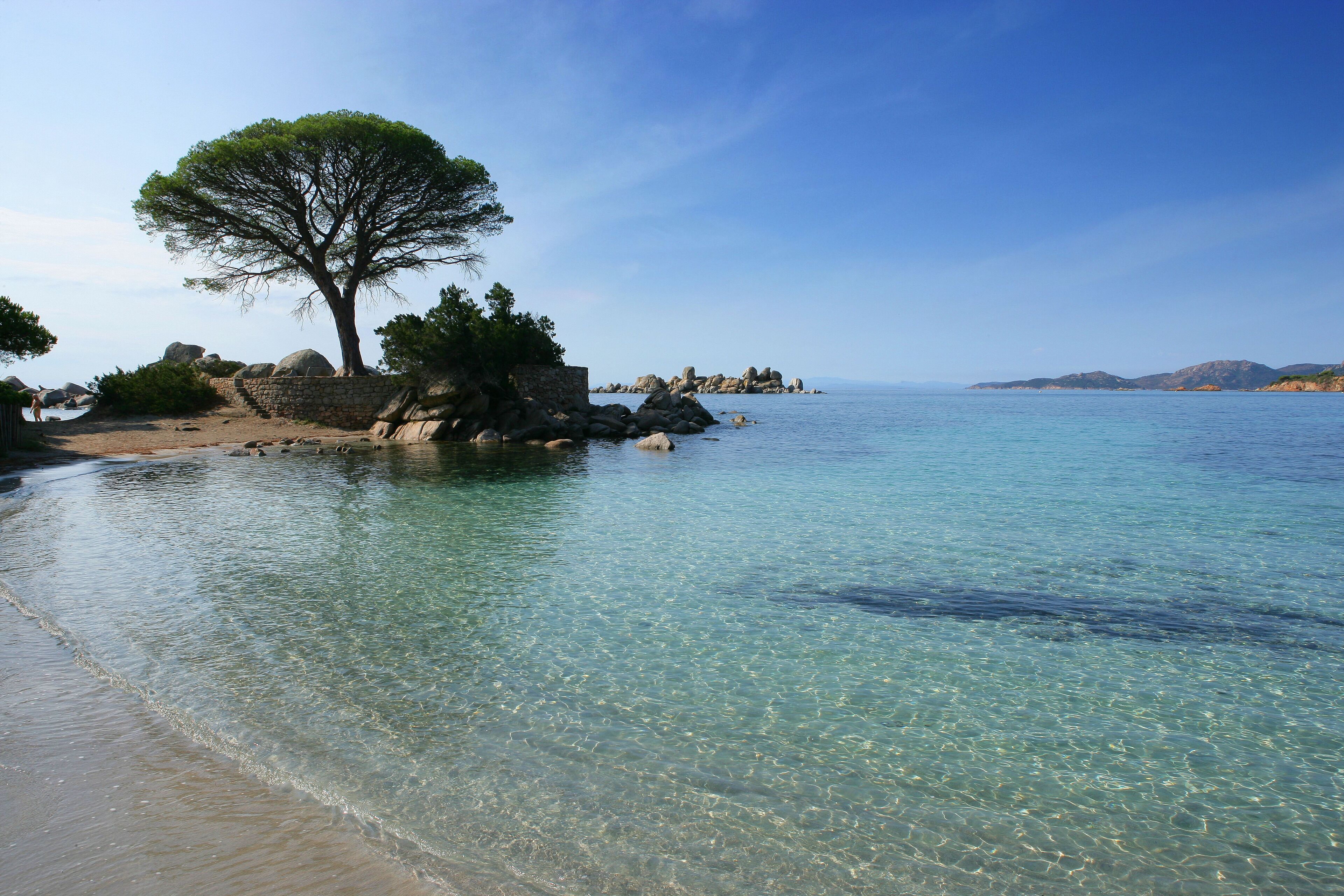 A clear coastal beach with a large tree, rocky shoreline, and calm sea.