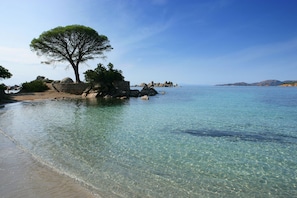 A clear coastal beach with a large tree, rocky shoreline, and calm sea. - Incredible rental Porto-Vecchio South Corsica close to the sea and village  (Porto-Vecchio)