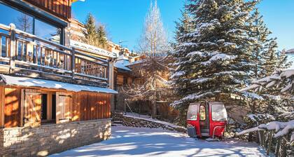 Apartment in 5-room chalet, sleeps 14, 4 bedrooms, WiFi, private garden