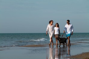 Animaux de compagnie acceptés