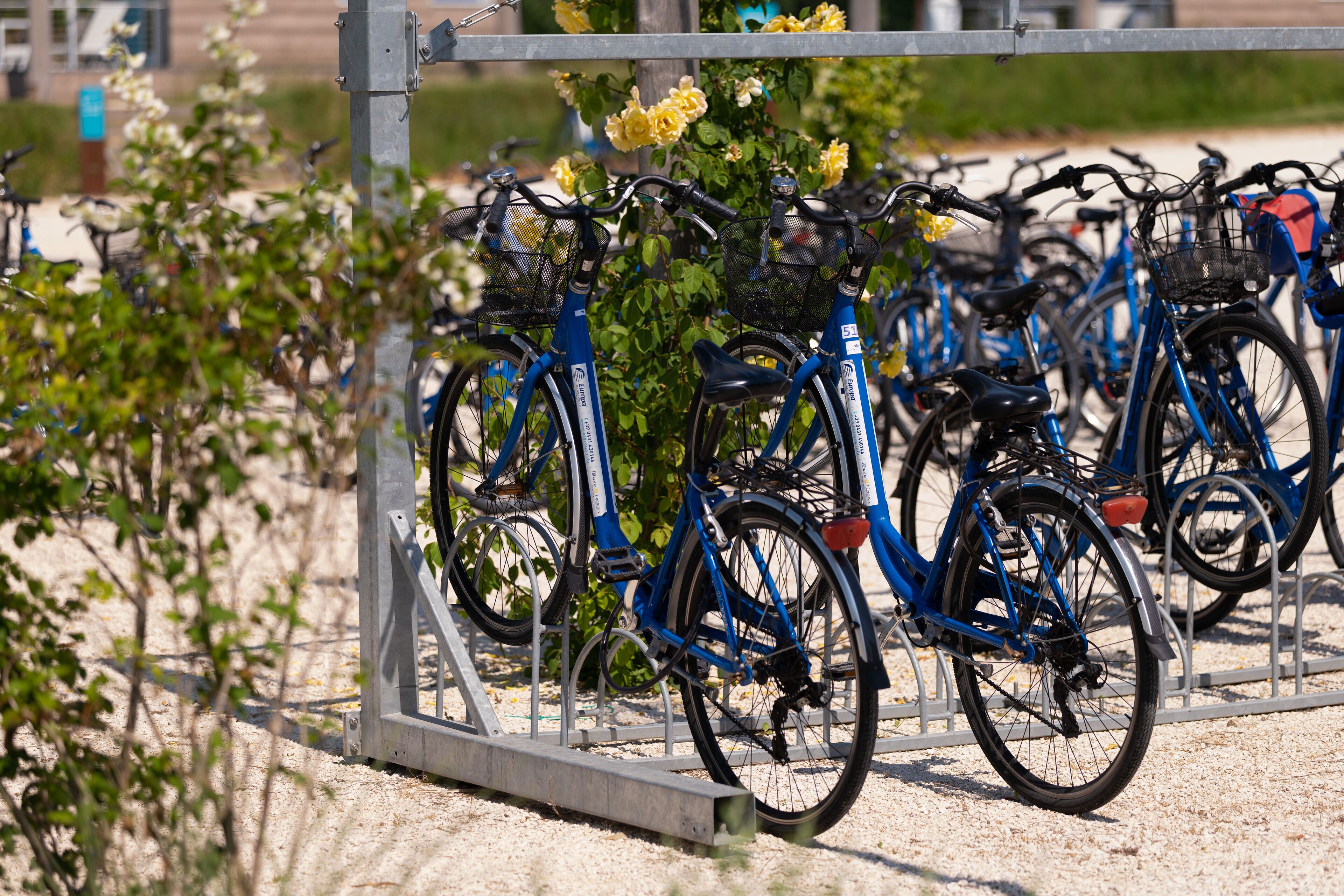 Foto - Marina Azzurra Resort