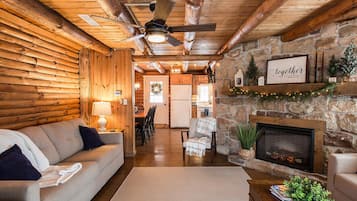 Smart TV, fireplace, DVD player, books