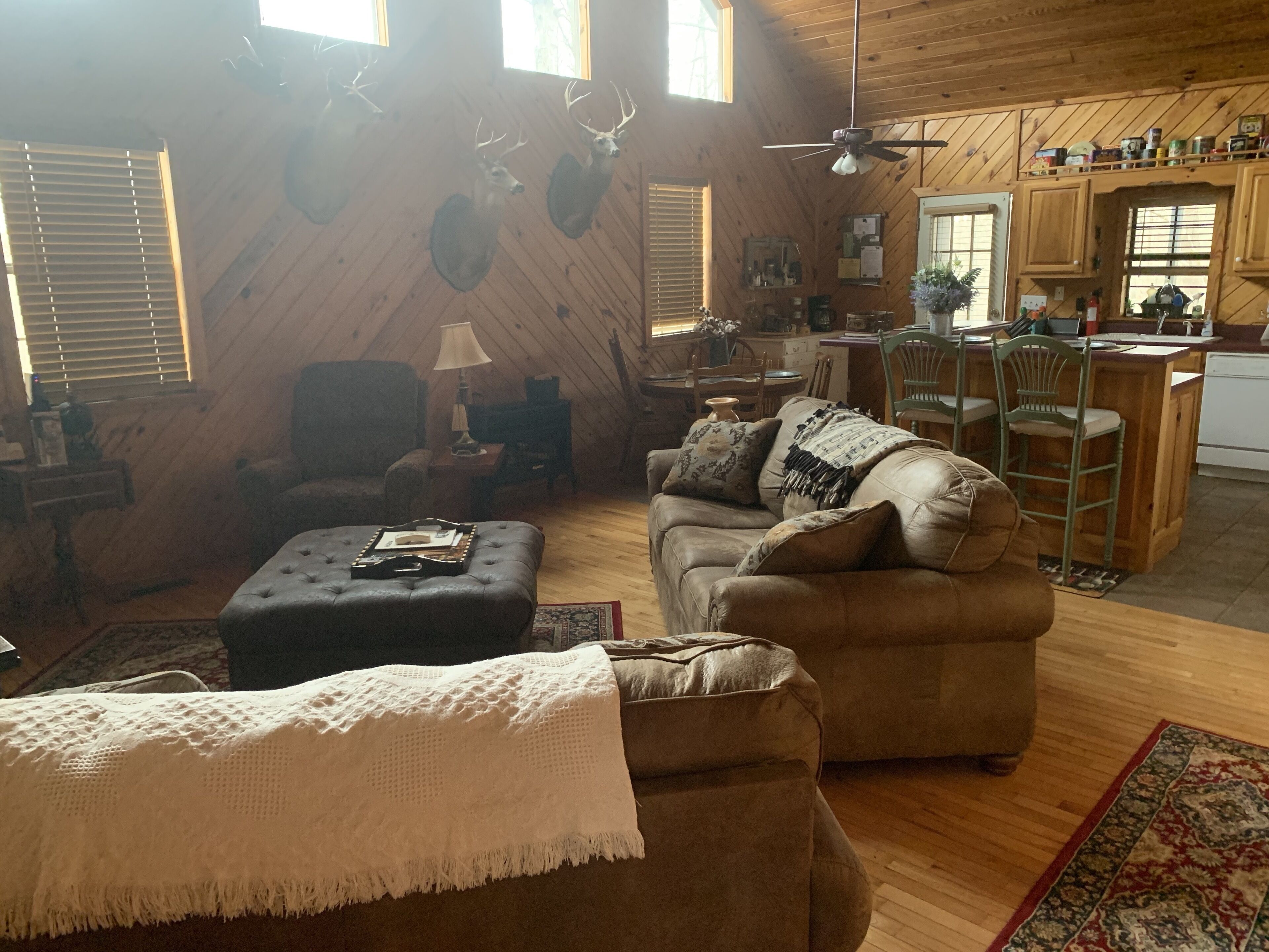 ❤️❤️❤️FANTASTIC RATES ON THIS PRIVATE, SECLUDED CABIN❤️❤️❤️