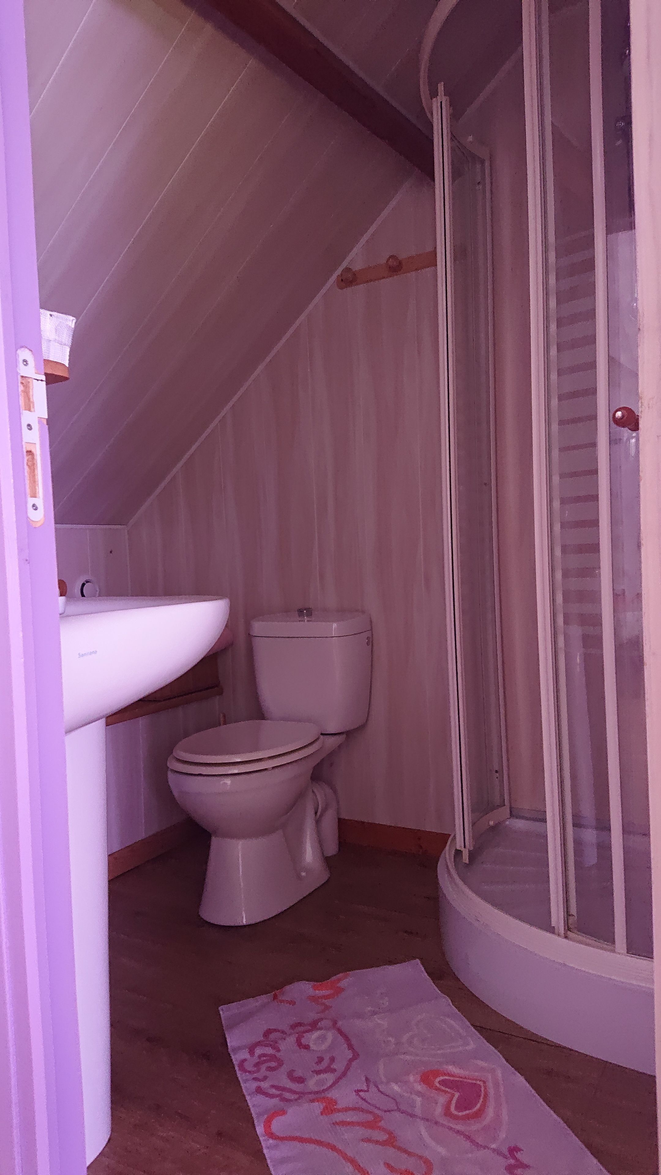 Baño pequeño y estrecho con inodoro, lavamanos y cabina de ducha.