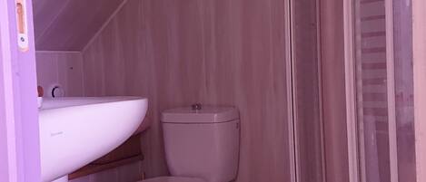Baño pequeño y estrecho con inodoro, lavamanos y cabina de ducha.