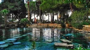 Una piscina cristalina con escalones de piedra para entrar, rodeada de exuberante vegetación y árboles.