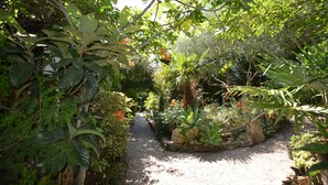Un sendero en un jardín rodeado de abundante vegetación y diversas plantas.