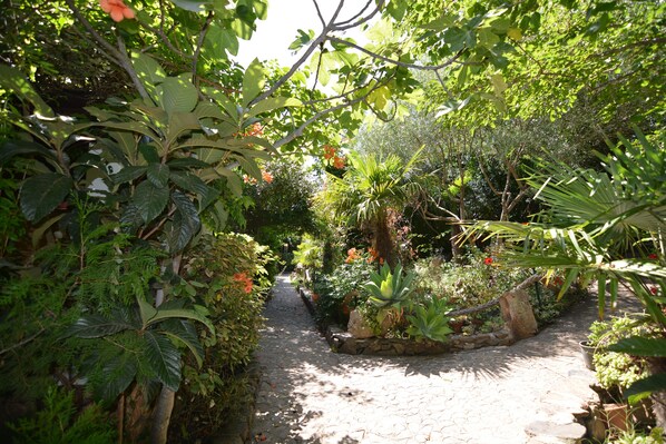A garden pathway surrounded by lush greenery and various plants.