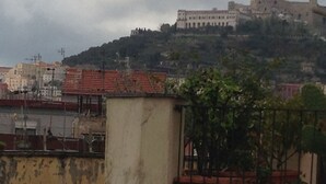 A building with a red-tiled roof, a large white structure on a hill, and a fence with greenery.