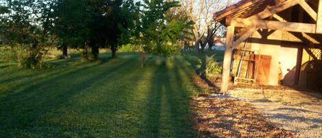 A grassy area with a wooden structure, possibly a barn or shed, and trees in the background.