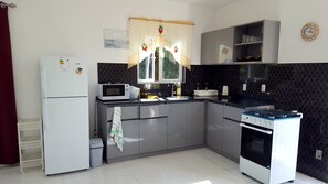 Fridge, microwave, oven, stovetop - Spacious cozy house for living and working (Willemstad)