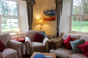 Smart TV, chimenea, reproductor de DVD y libros 