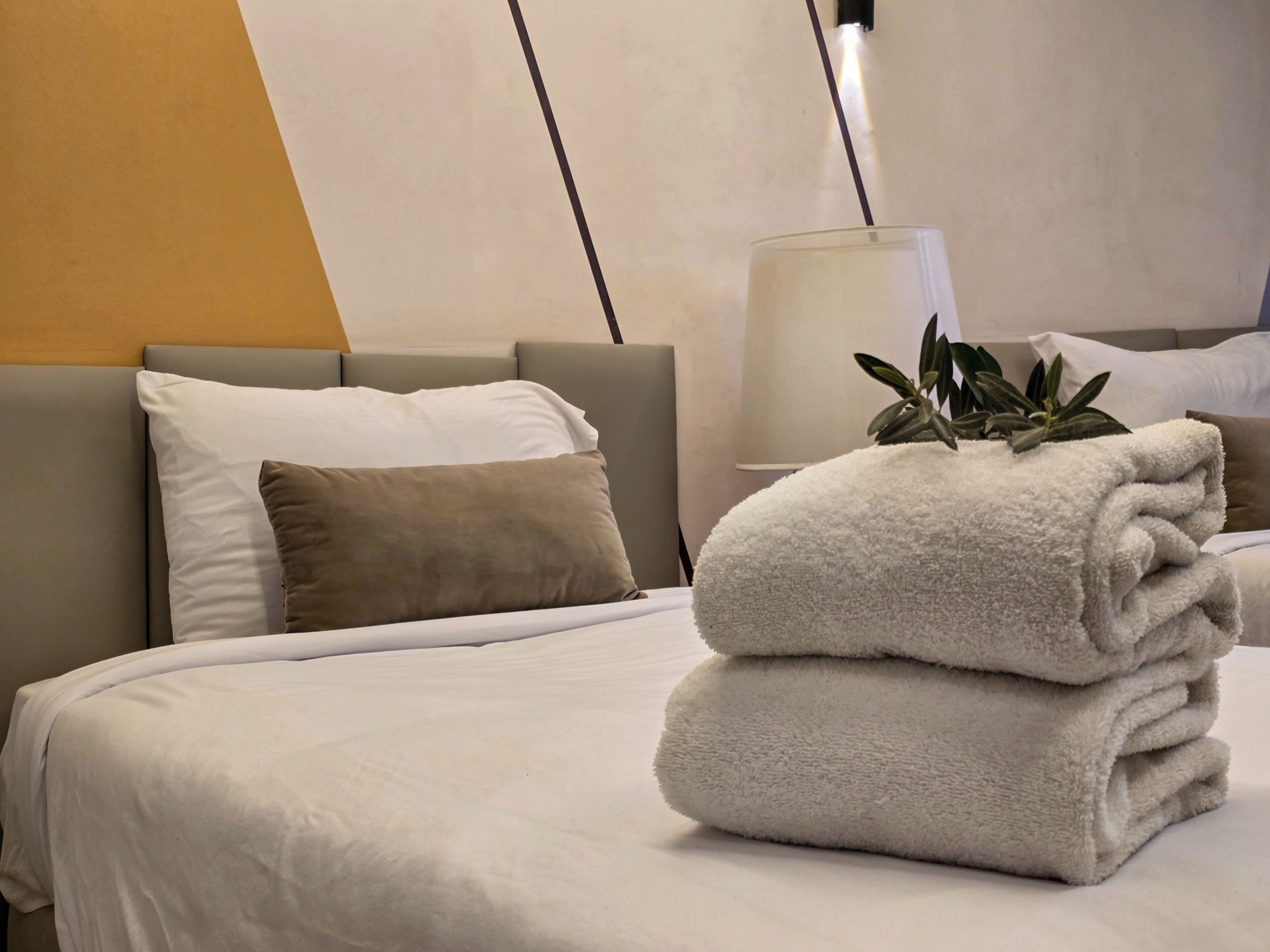 A neatly made bed with a white comforter and two folded towels, a bedside table with a lamp, and a plant on the bed.