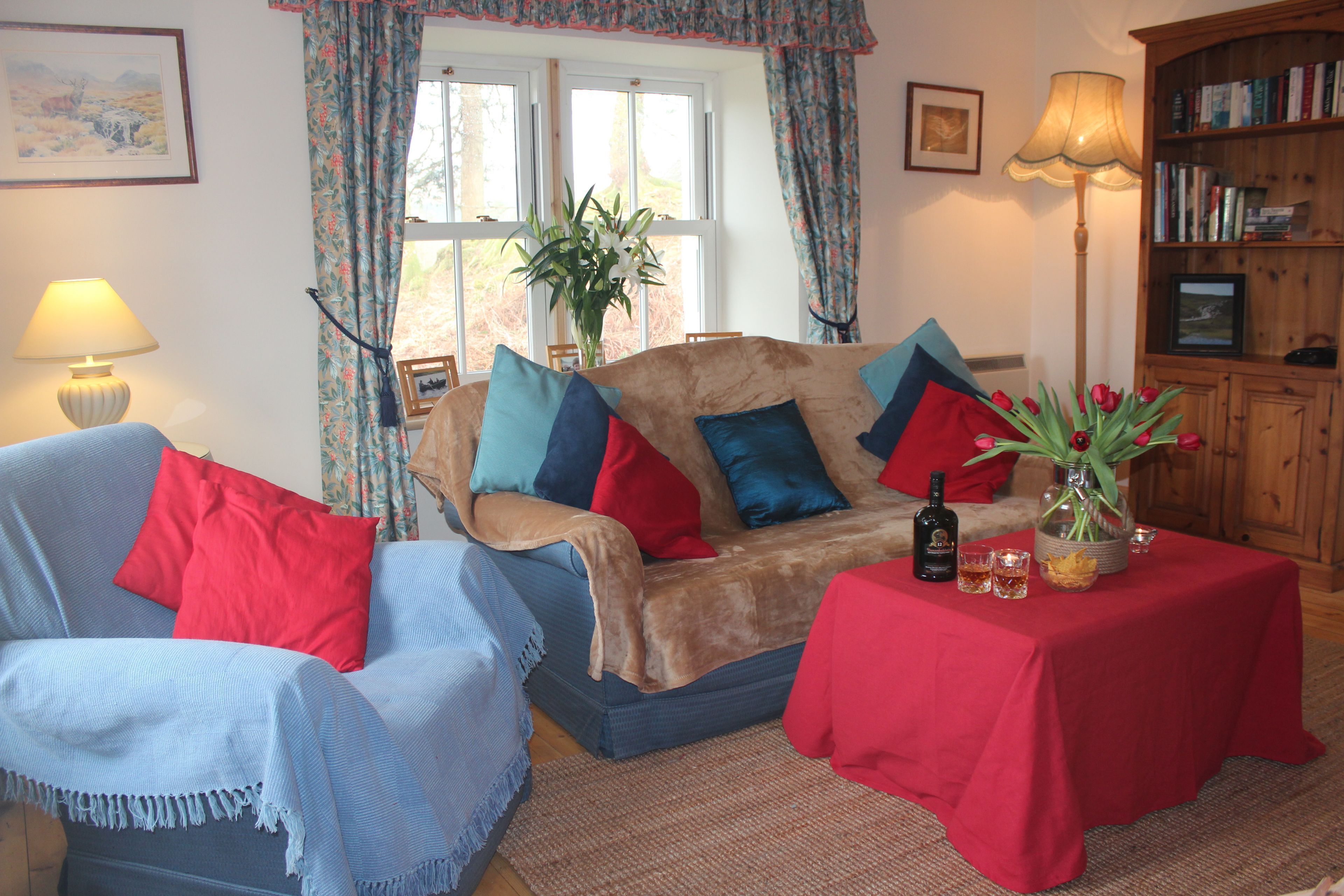 Smart TV, fireplace, DVD player, books