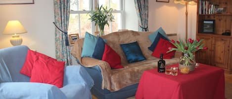 Smart TV, fireplace, DVD player, books