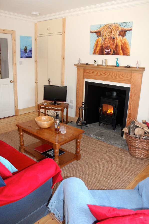 Smart TV, fireplace, DVD player, books