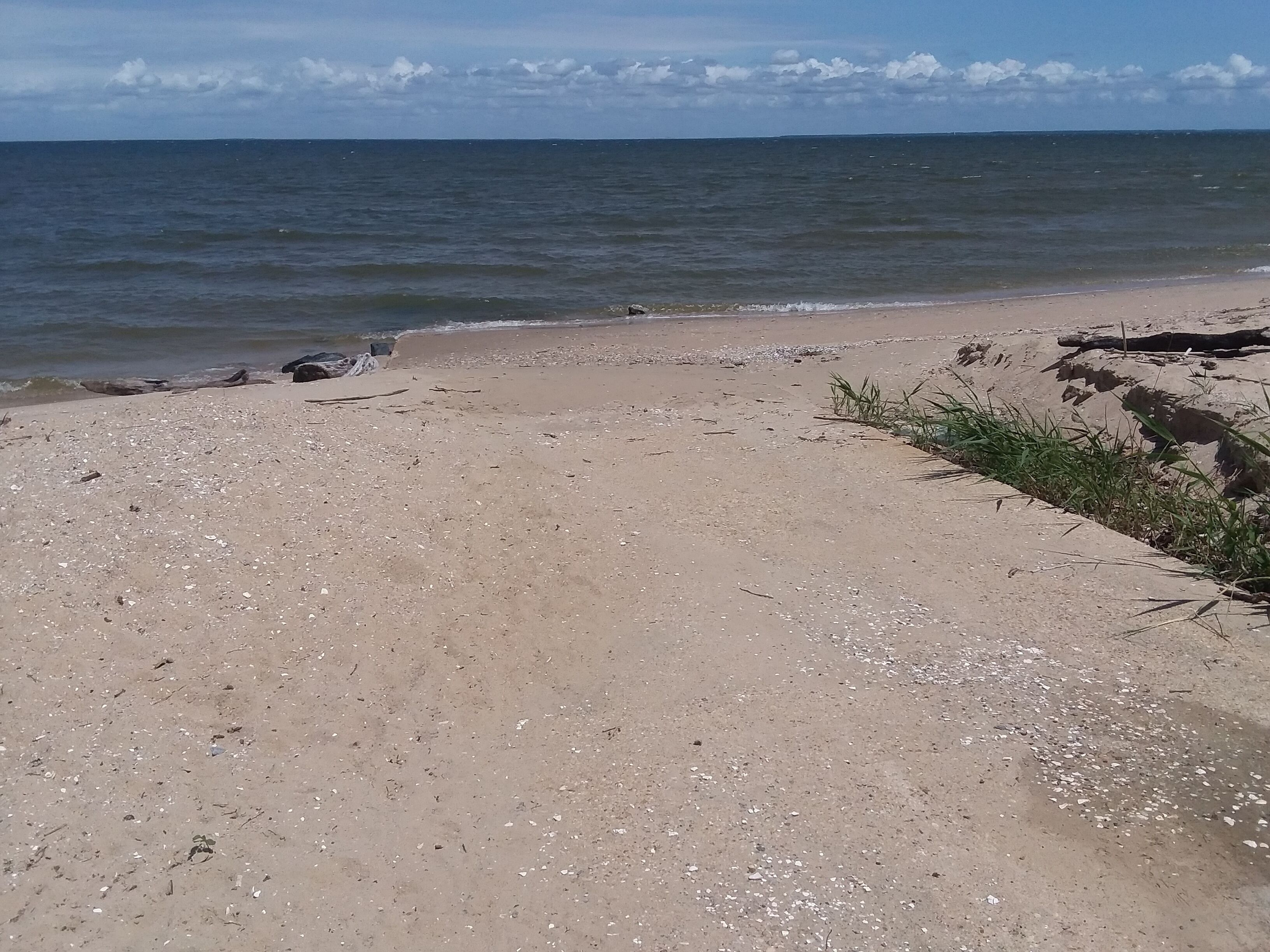 Une plage de sable parsemée de rochers et où la végétation est clairsemée.