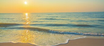 Beach Combing & Relaxation