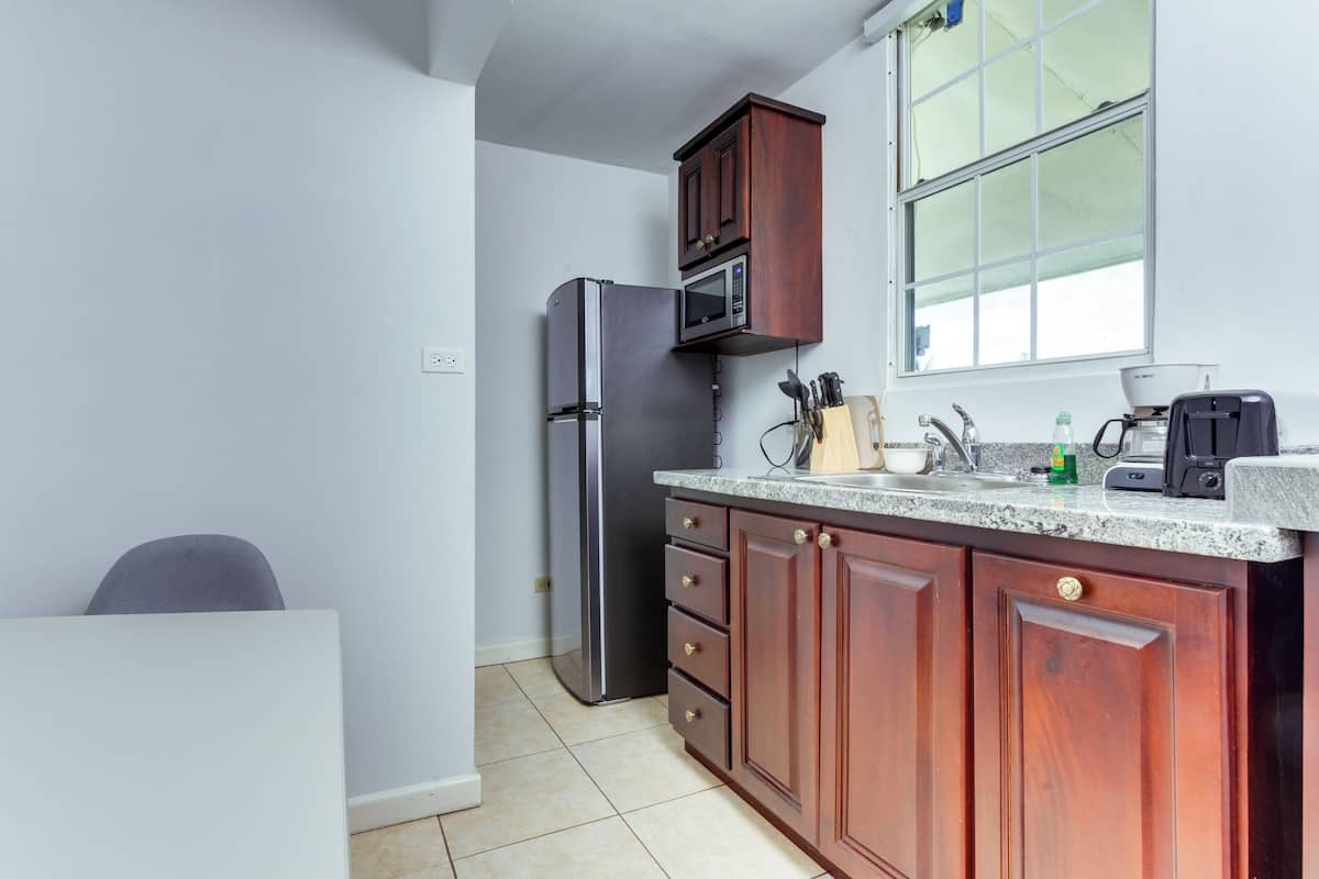 panoramic apartment, 2 double beds, non smoking, kitchenette | private kitchenette