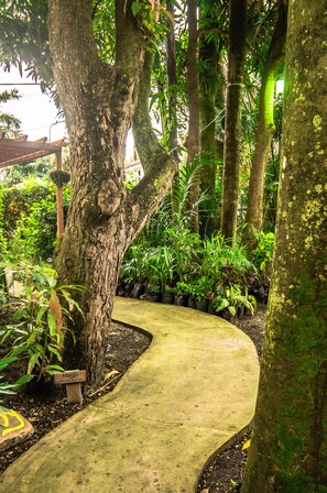 Garden - Harbour View Boutique Hotel & Wellness Retreat (Belize City)