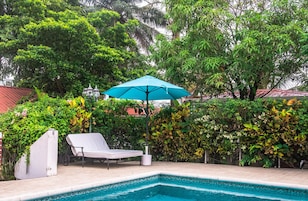 Una piscina con una sombrilla azul, una silla de descanso blanca y abundante vegetación de fondo.