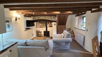 Télévision, cheminée, lecteur de DVD, livres