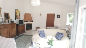 Télévision, cheminée, lecteur de DVD, livres