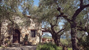 Ein Steinhaus mit Holztür und -fenster, umgeben von Olivenbäumen und einem Kopfsteinpflasterweg.