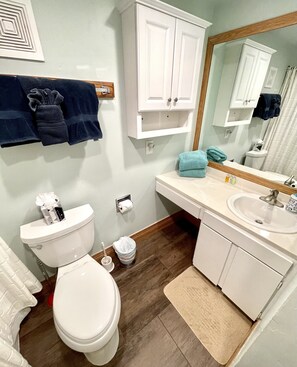 Hair dryer, towels, shampoo, toilet paper - Best Ski-in/Ski-Out Condo at Copper Mountain (Copper Mountain)