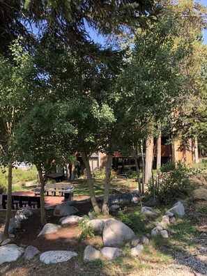 A courtyard with a picnic area, stone seating, and a view of a building in the background.