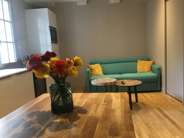 Télévision, cheminée, livres, chaîne hi-fi