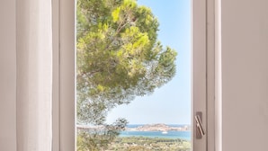 Une fenêtre donnant sur un arbre et un paysage lointain.