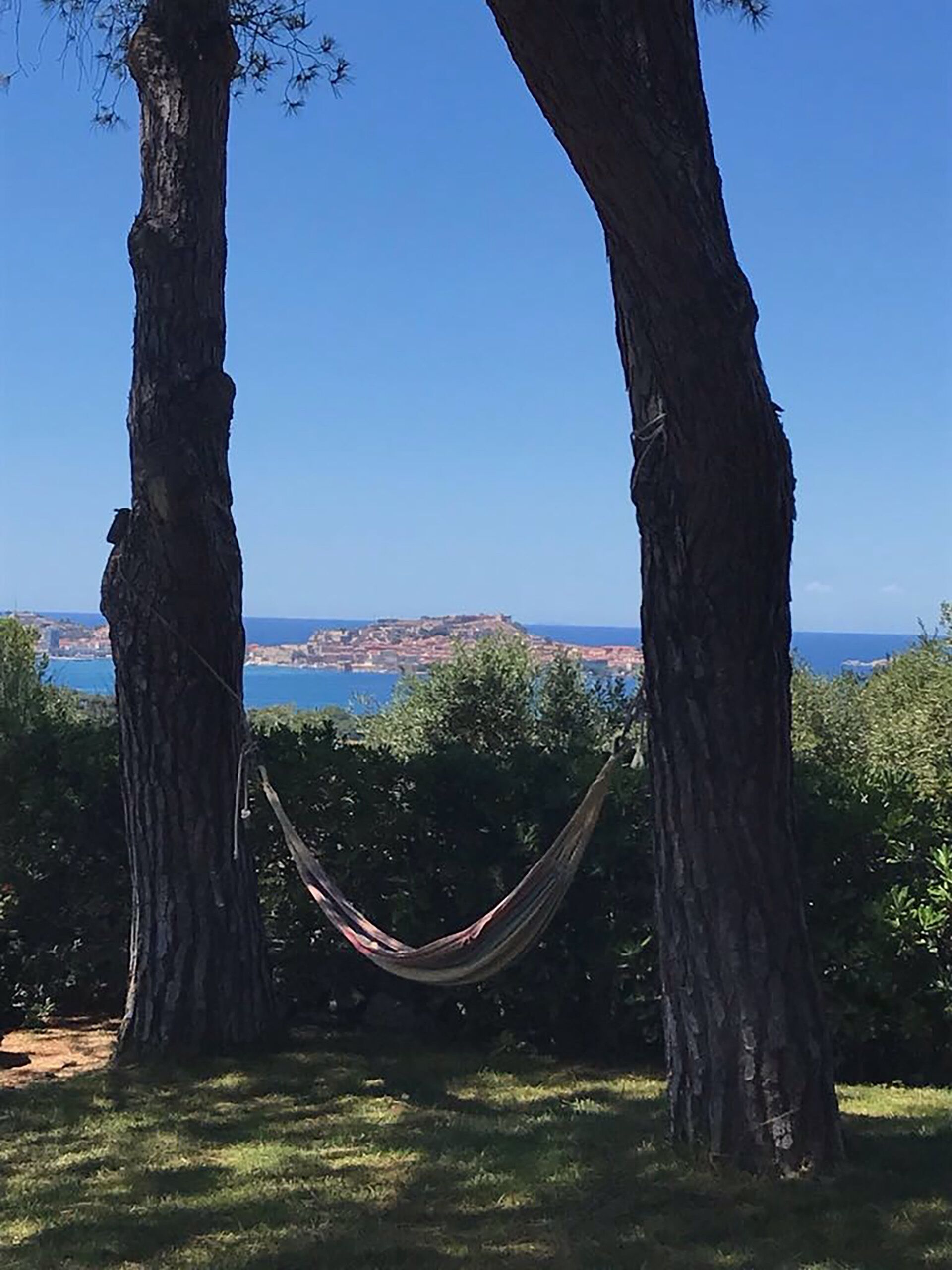 A hammock between two trees overlooking a coastal cityscape.