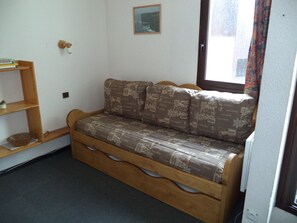 TV, DVD player, video library