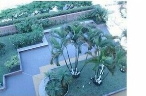 Área da propriedade