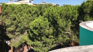 Property grounds - Western Star Hotel (Durrës)