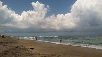 Sun loungers, beach towels