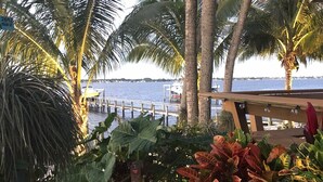 A tropical garden with palm trees, a wooden deck, and a view of the sea. - Roonie's Periwinkle Cottage -  waterfront- 2 bikes - downtown Stuart (Stuart)