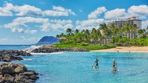 A coastal hotel with a beach, palm trees, and clear blue waters.
