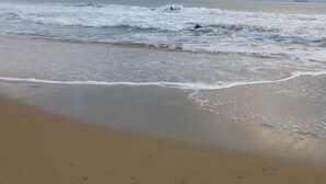 A beach with waves and a cloudy sky. - Charming Beach Cottage Only 100 yds from the beach (Virginia Beach)