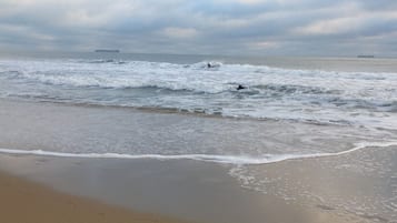 Beach nearby, sun-loungers