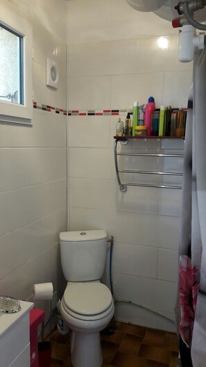 Shower, hair dryer