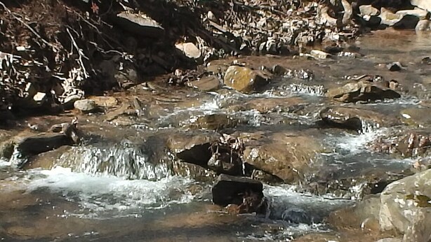 A rocky stream with clear water flowing over rocks.