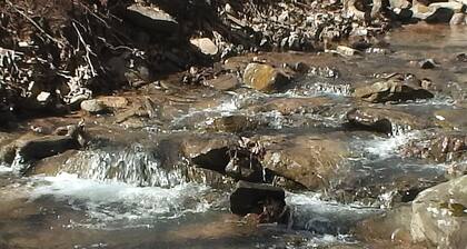 Beautiful Cottage At 'the Woods' Resort, Golf, Spa, Swimming & Resort Amenities